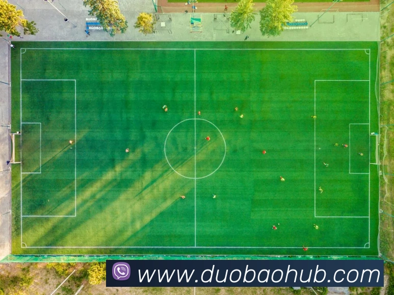 多宝电竞app发展历程